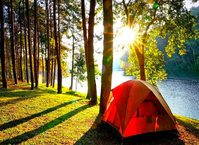 Sapanca Kamp Alanları